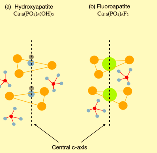Nano-HAp and Fluoride molecules
