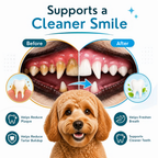 Smile Kit Twist & Lick 100% Brush Free Oral Gel for Dogs