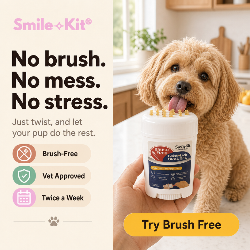 Smile Kit Twist&Lick Brush Free Oral Gel for Dogs