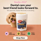 Smile Kit Twist&Lick Brush Free Oral Gel for Dogs
