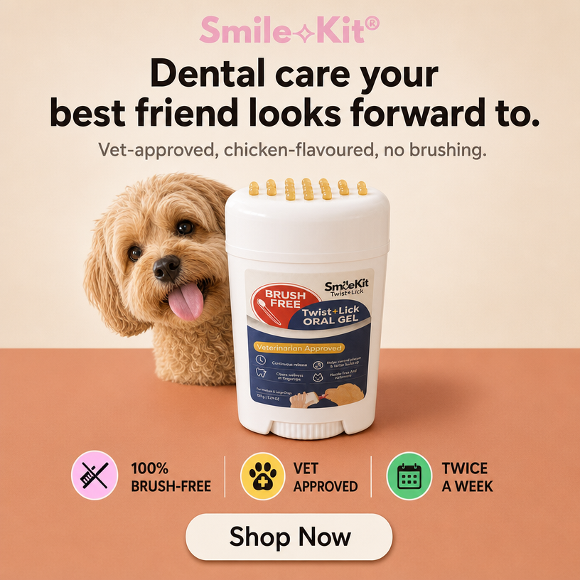 Smile Kit Twist&Lick Brush Free Oral Gel for Dogs